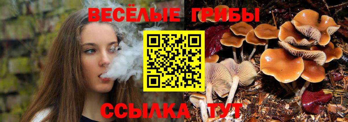 купить закладку  Вход с VPN  Красноармейск  Псилоцибиновые грибы мухоморы 